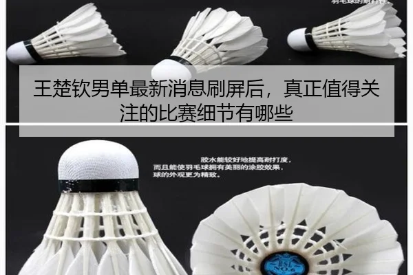 王楚钦男单最新消息刷屏后，真正值得关注的比赛细节有哪些